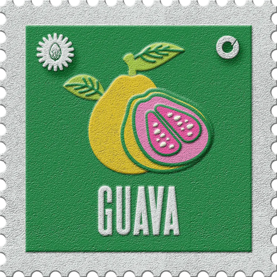 Guava stamp, No. 31 in the Official Cannabis collection: a cut guava with pink flesh on green
